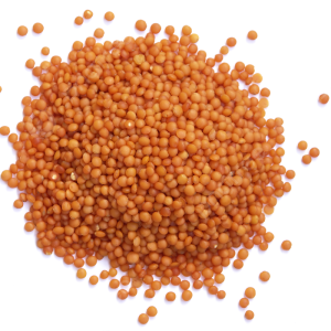 Lentils