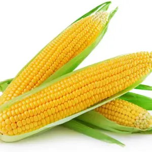 Corn