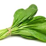 Spinach